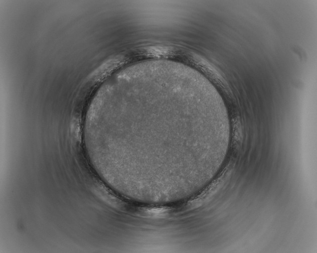 X0000112930313200909141339