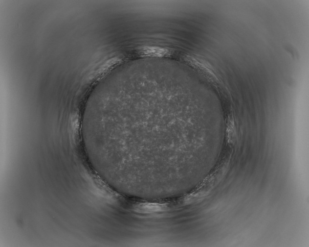 X0000112930314200909141339