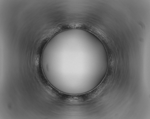 X0000112930315200909141339