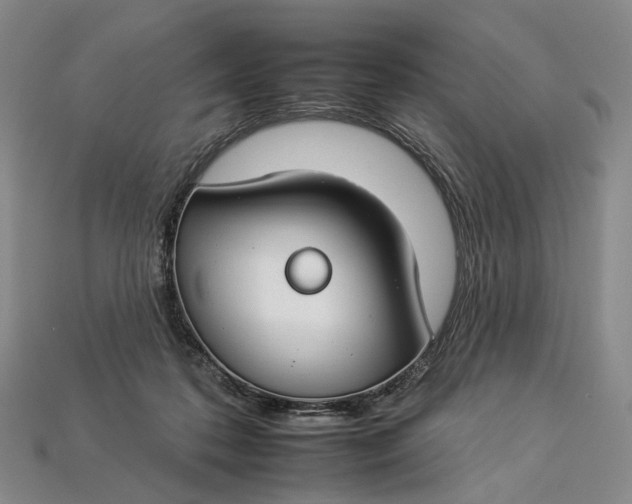 X0000112930316200909141339