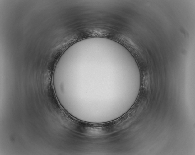 X0000112930318200909141339