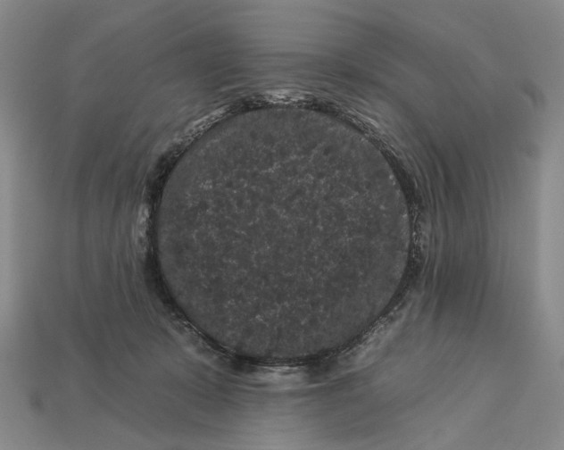 X0000112930319200909141339