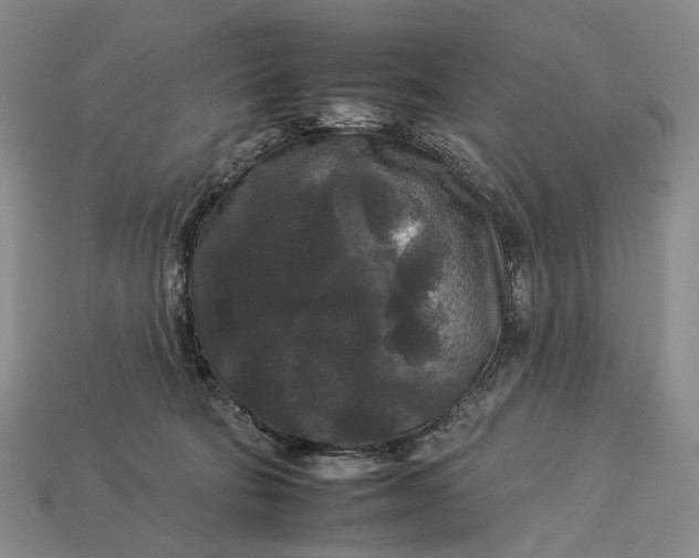 X0000112930322200909141339