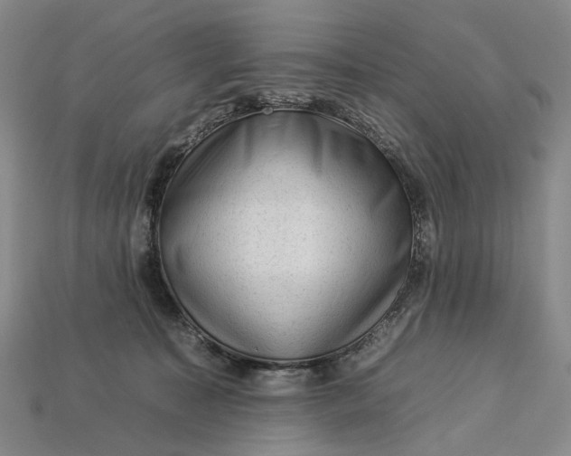 X0000112930323200909141339