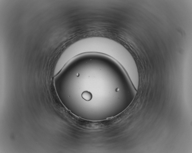 X0000112930324200909141339