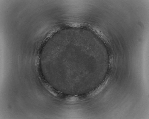 X0000112930325200909141339