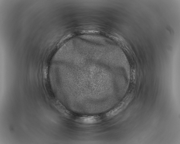 X0000112930326200909141338