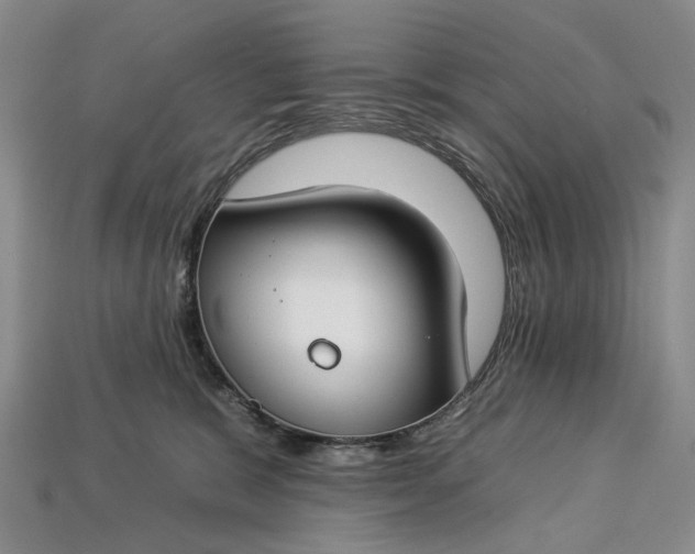 X0000112930327200909141338