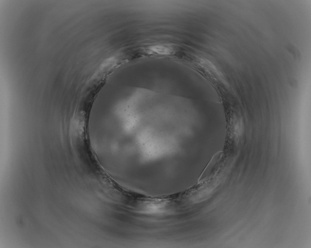 X0000112930328200909141338