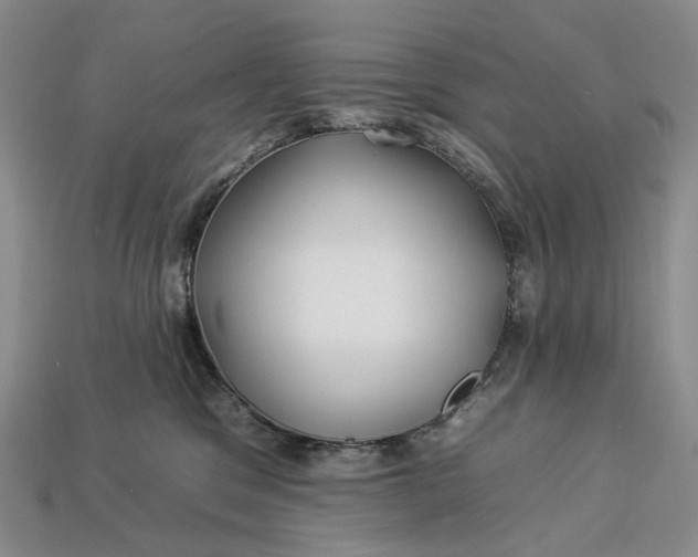 X0000112930329200909141338