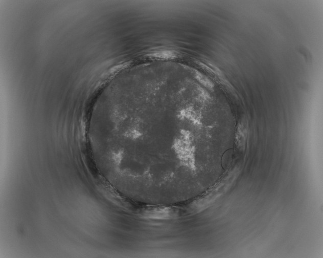 X0000112930330200909141338