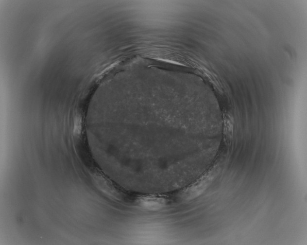 X0000112930331200909141338