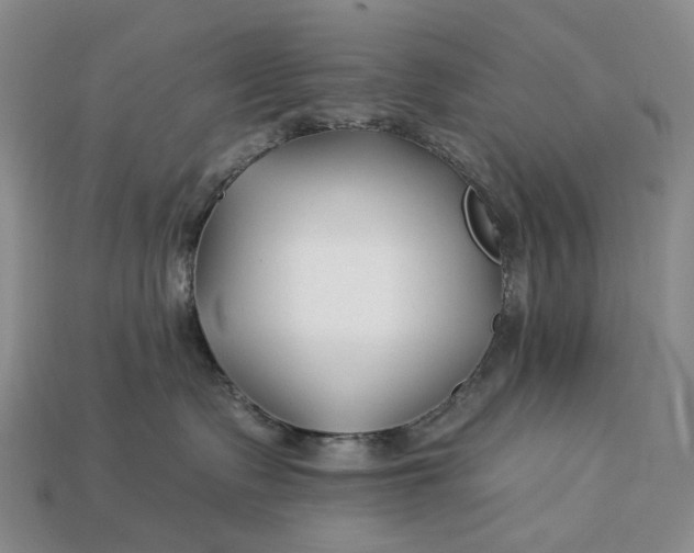 X0000112930335200909141338