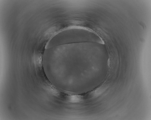 X0000112930336200909141338