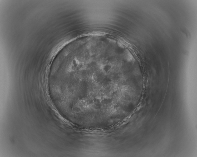 X0000112930337200909141338