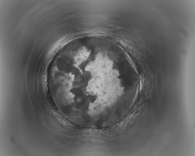 X0000112930339200909141338