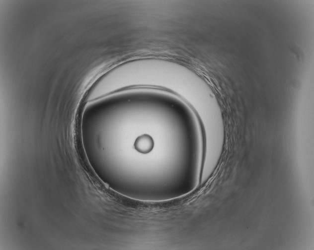 X0000112930340200909141338