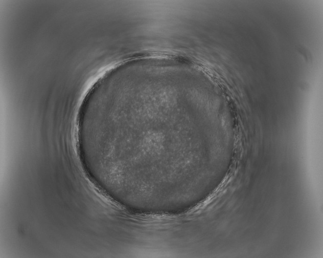 X0000112930342200909141338