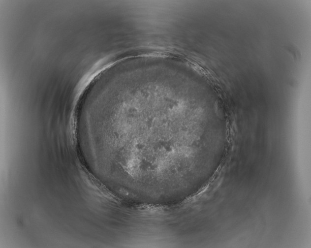 X0000112930343200909141338