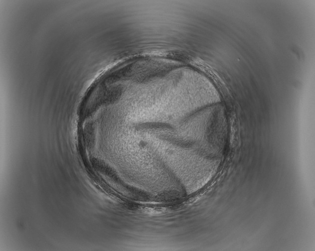 X0000112930346200909141338