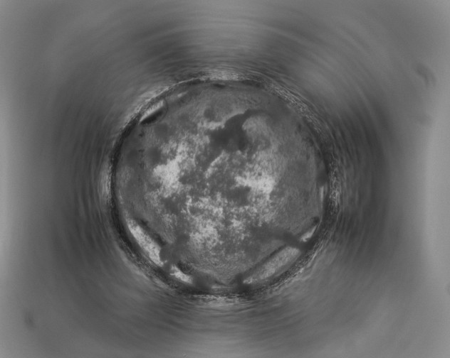 X0000112930347200909141338