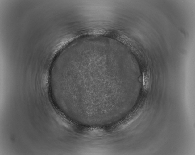 X0000112930348200909141338