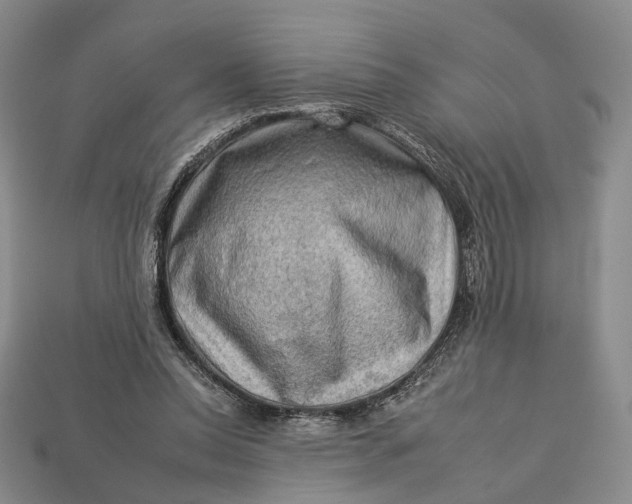 X0000112930350200909141338