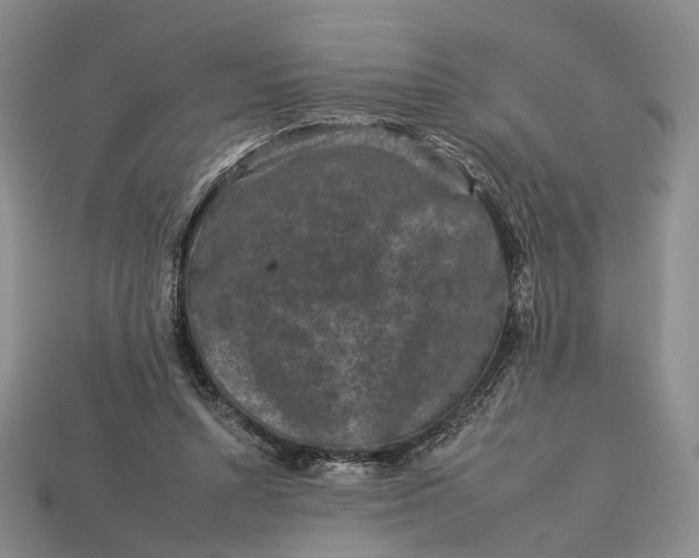 X0000112930352200909141338