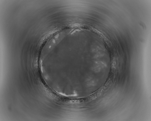 X0000112930353200909141338