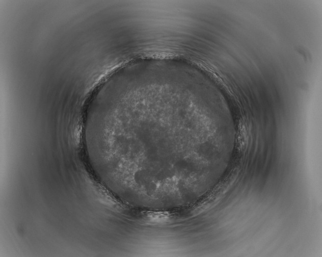 X0000112930355200909141338