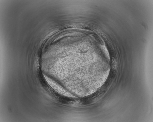 X0000112930356200909141338