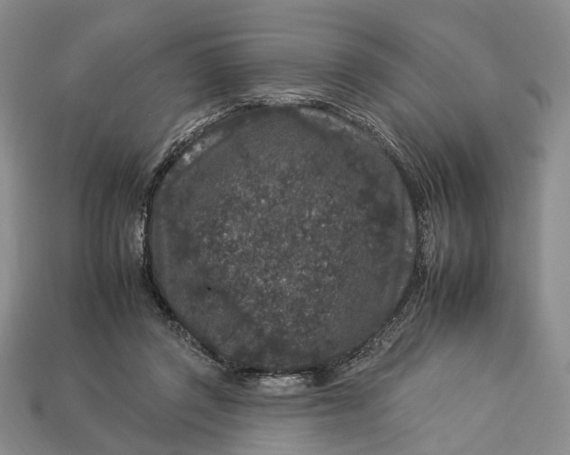 X0000112930357200909141338