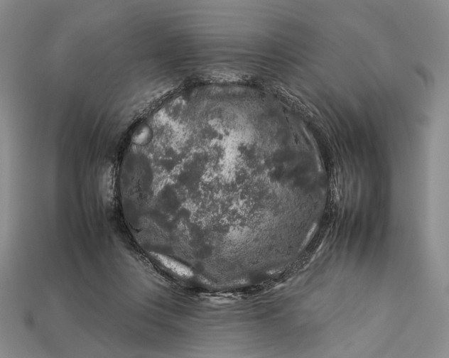 X0000112930359200909141338