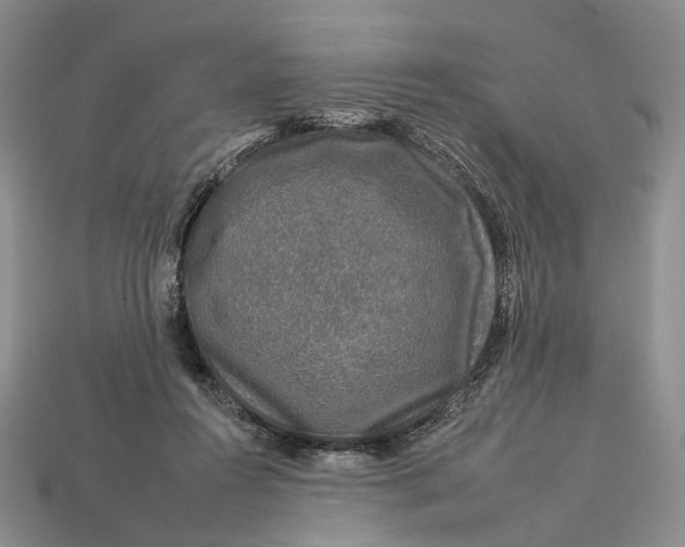 X0000112930360200909141338