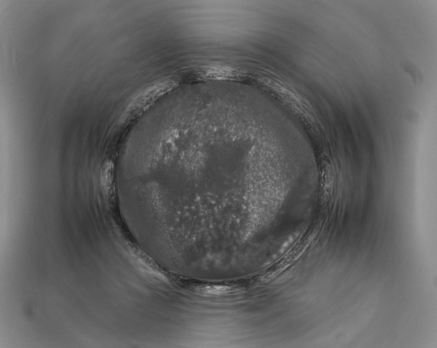 X0000112930361200909141338