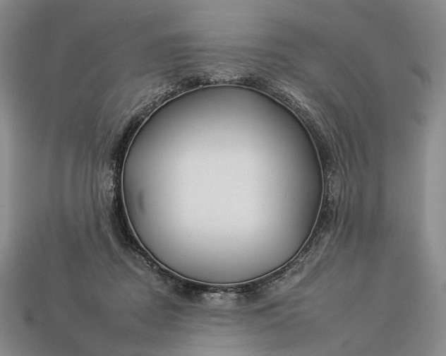 X0000112930362200909141338