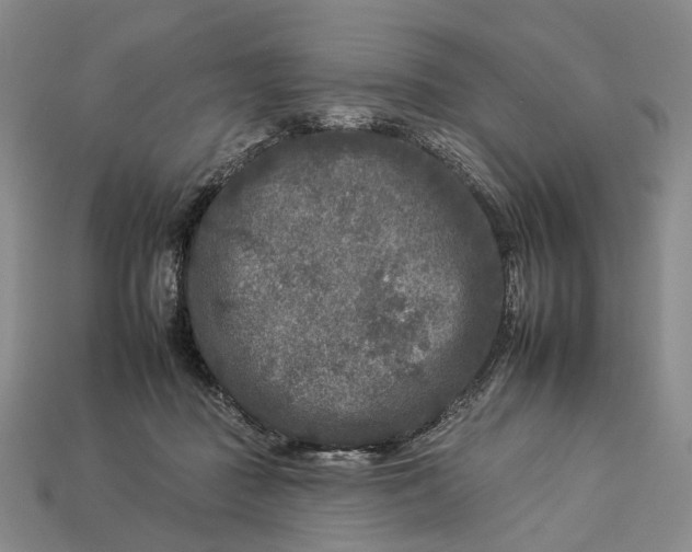 X0000112930363200909141338