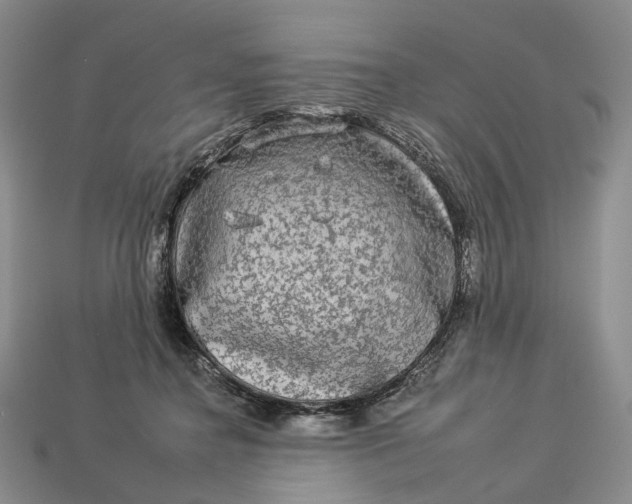 X0000112930364200909141338