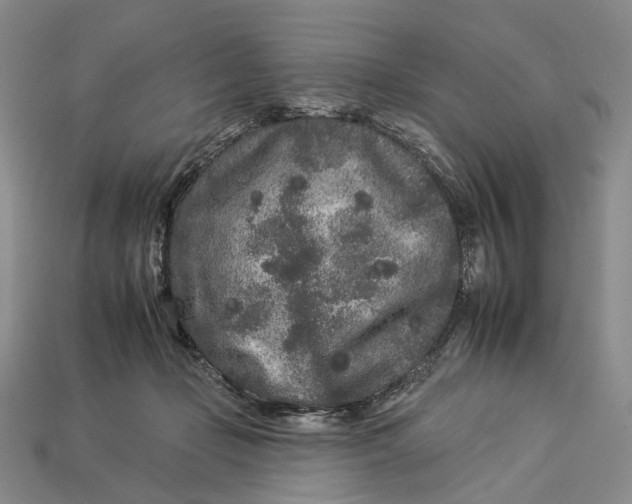 X0000112930365200909141338