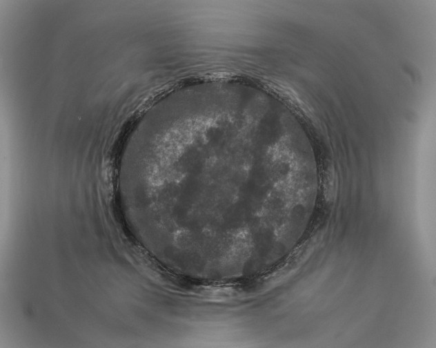 X0000112930366200909141338