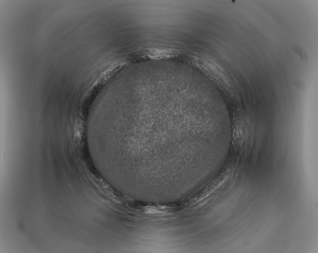 X0000112930367200909141338