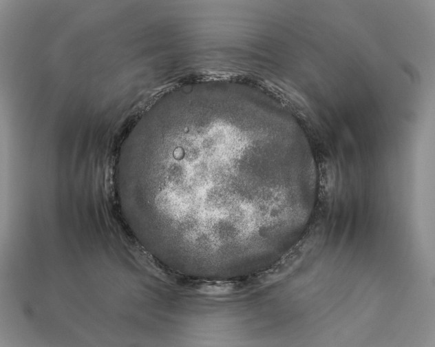 X0000112930369200909141338