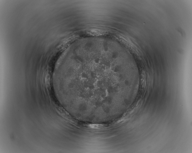 X0000112930371200909141338