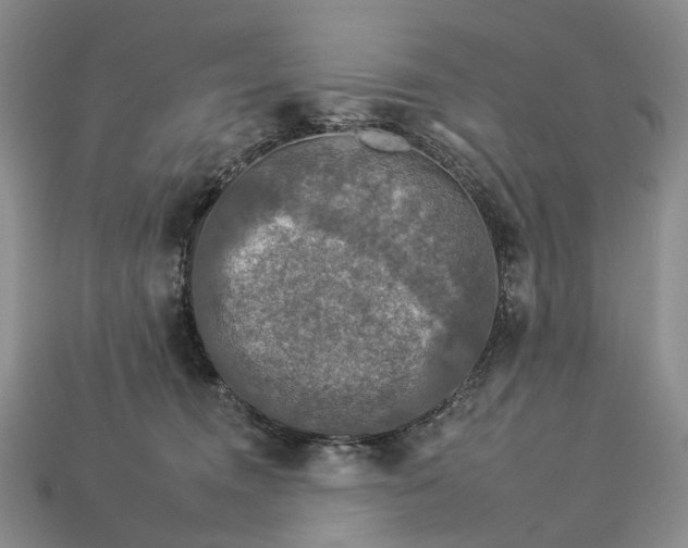 X0000112930372200909141338