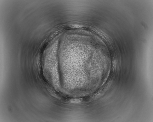 X0000112930373200909141338