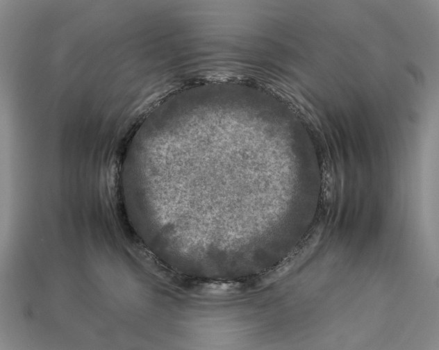 X0000112930375200909141338