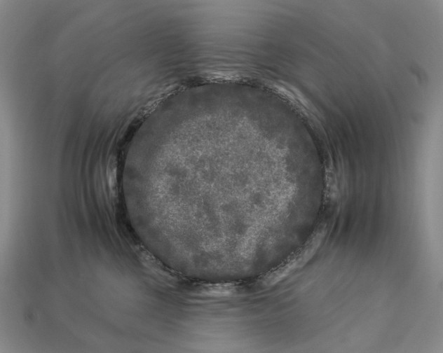 X0000112930377200909141338