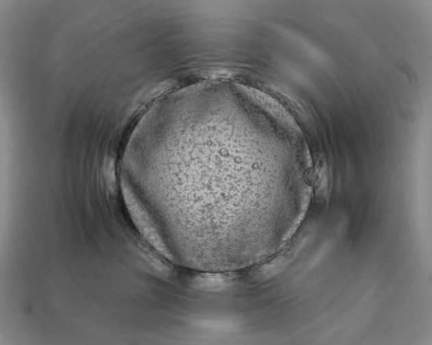 X0000112930381200909141338