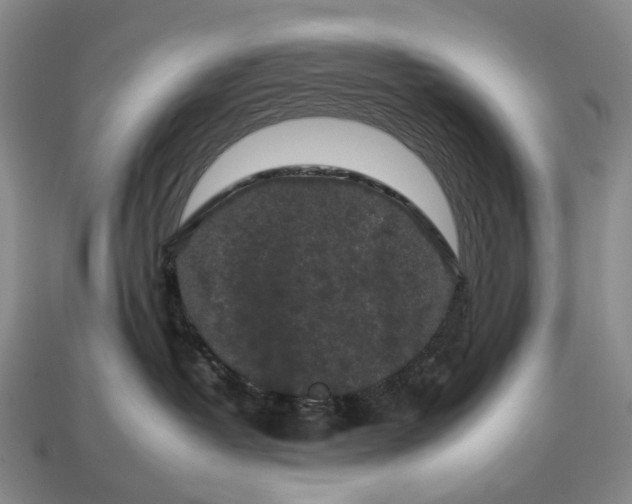 X0000112930382200909141338