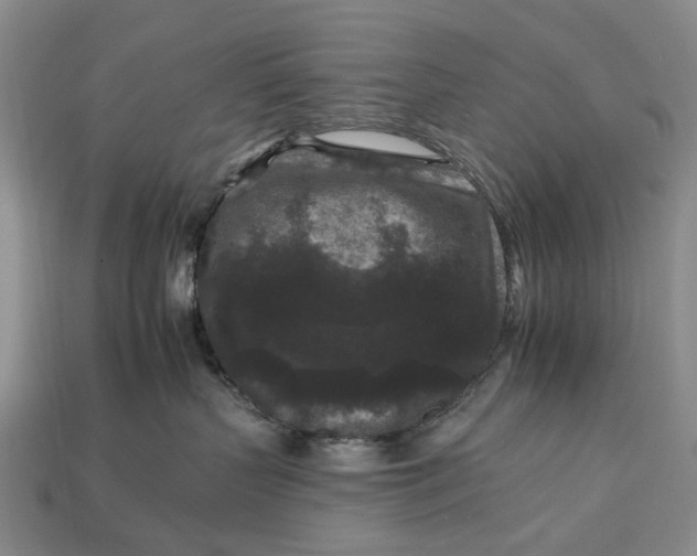 X0000112930383200909141338